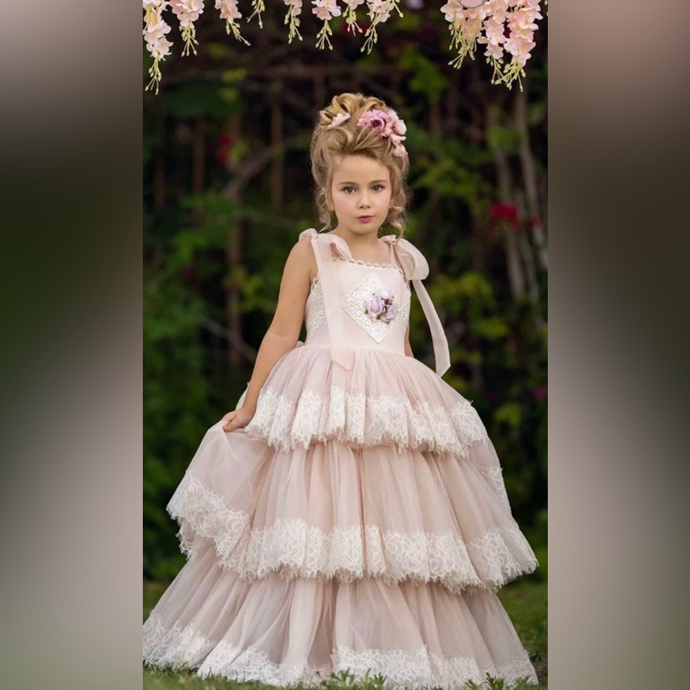 Dollcake Bonnet Gown NWT size 6 - Picture 3 of 5